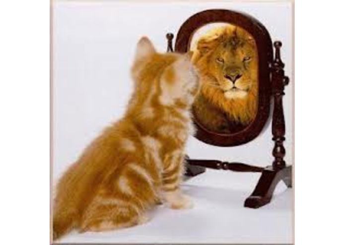 Mirror, Mirror on the Phone – screenshot 2