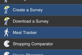 Kaizen Surveys