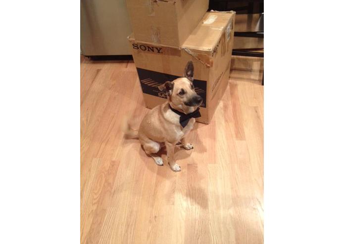 Test – screenshot 1