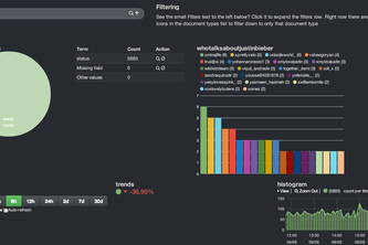 Test Run Kibana