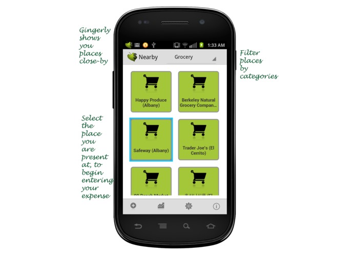 Track your expenses Gingerly – screenshot 1