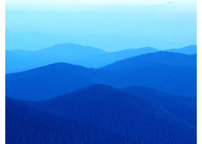 Green Earth – screenshot 1