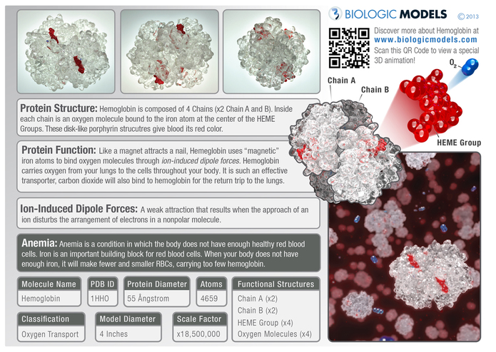 Hemoglobin A1C Educational Kit – screenshot 3