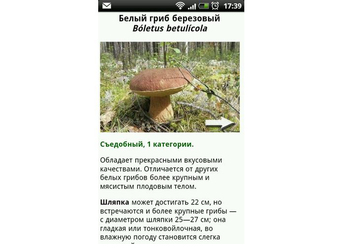 Mushroom guide (Грибы. Советник) – screenshot 3