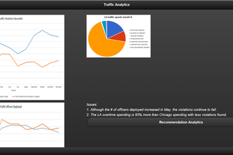 Government Analytics