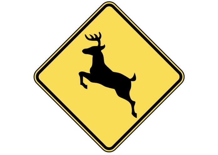 Moving Object and Obstruction Detection	 – screenshot 1