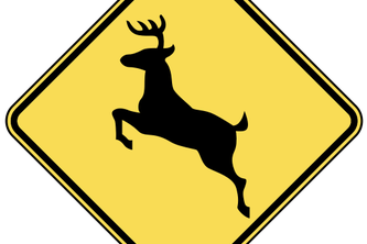 Moving Object and Obstruction Detection	