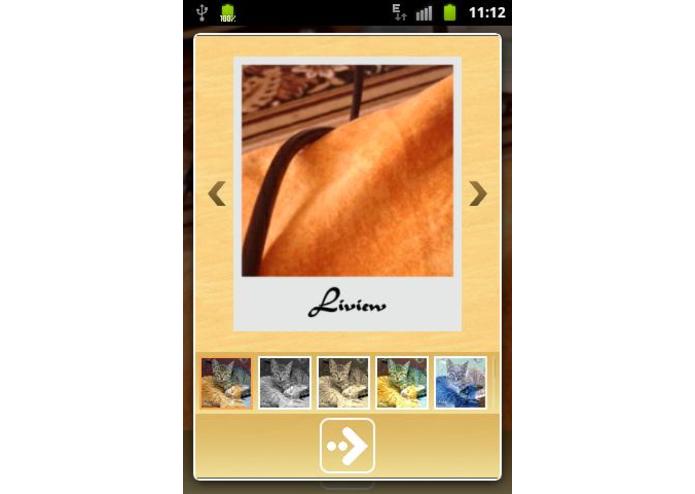 Liview Pro - Gif camera – screenshot 2