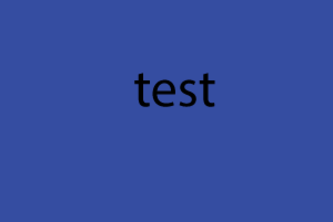 test submission