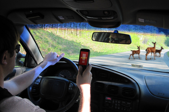 Road Hazard Warning