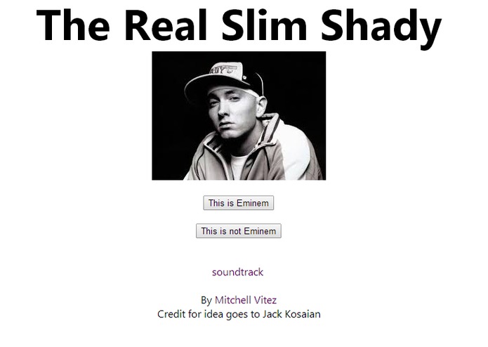 Find The Real Slim Shady – screenshot 1