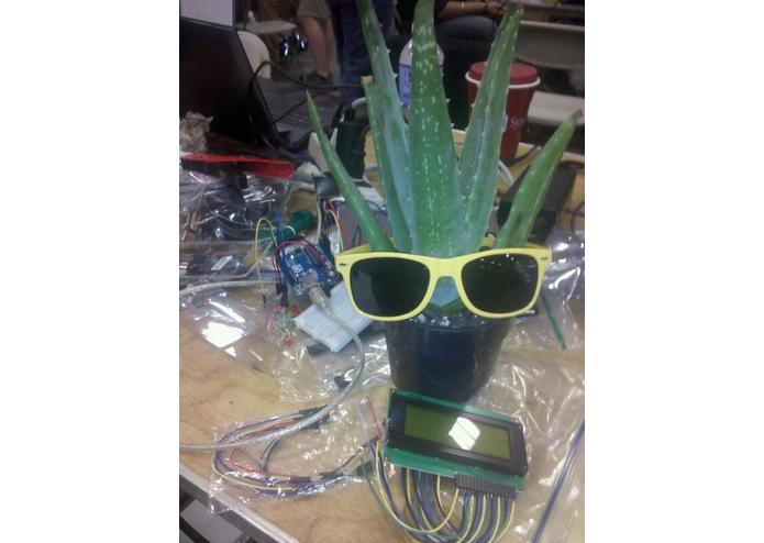 Horton the Tweeting Plant – screenshot 2
