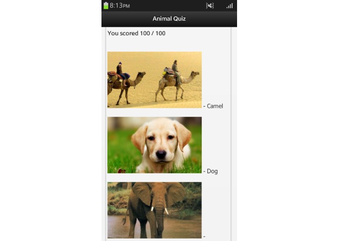 Animal Quiz – screenshot 4