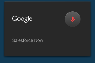 Salesforce Now