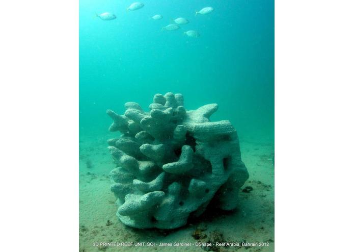 Artificial Coral Reefs to Save NY and your Living Room. – screenshot 2