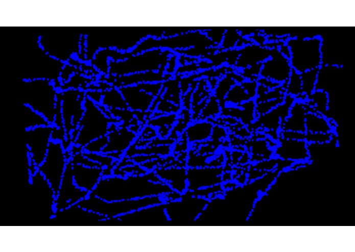 Project Catnip – screenshot 1