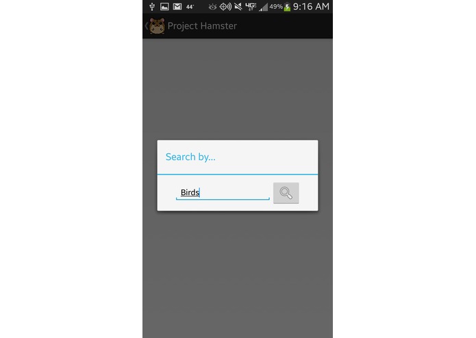 Project: Hamster – screenshot 4