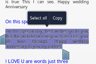 Wedding Anniversary SMS