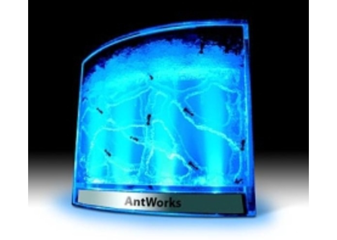 Ants War – screenshot 4