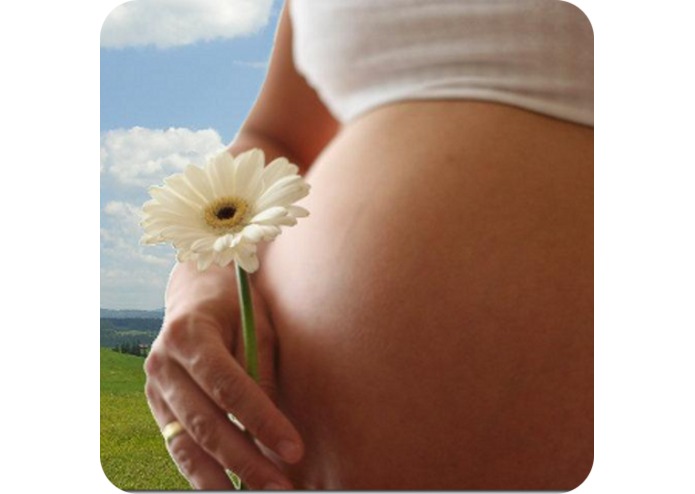 Pregnancy Calendar – screenshot 1