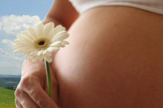 Pregnancy Calendar