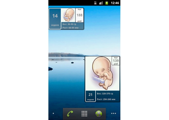 Pregnancy Calendar – screenshot 2