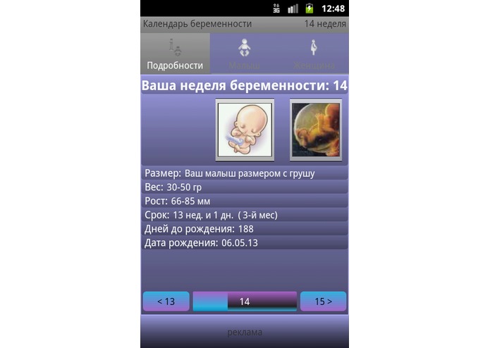 Pregnancy Calendar – screenshot 4
