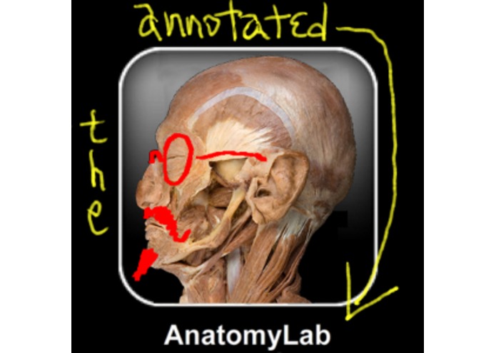 AnnotatedAnatomyLab – screenshot 1