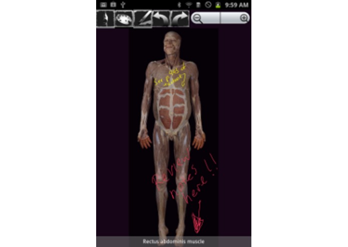 AnnotatedAnatomyLab – screenshot 2