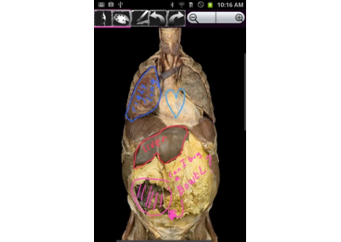 AnnotatedAnatomyLab – screenshot 3