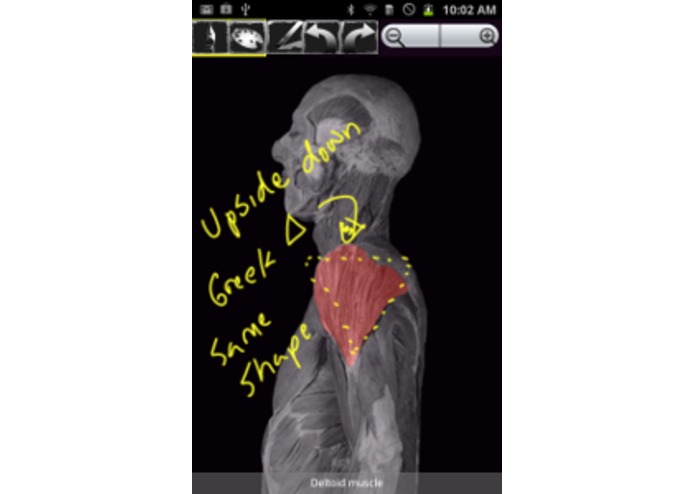 AnnotatedAnatomyLab – screenshot 4