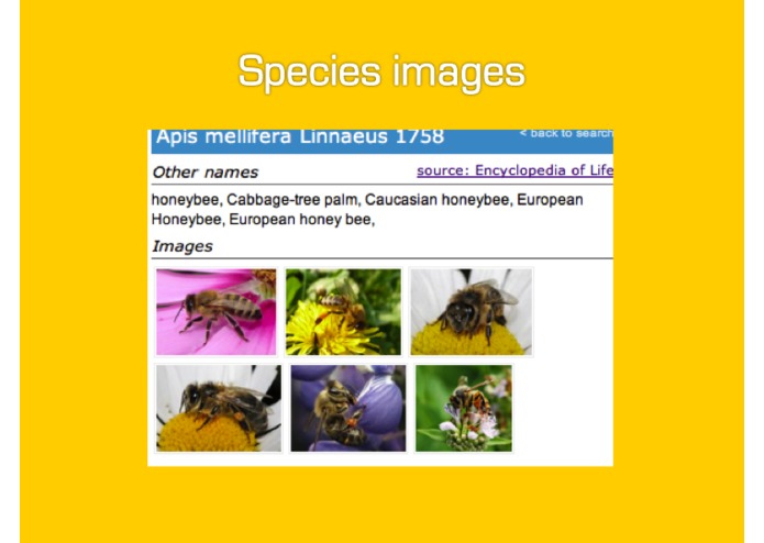 Species+ – screenshot 5