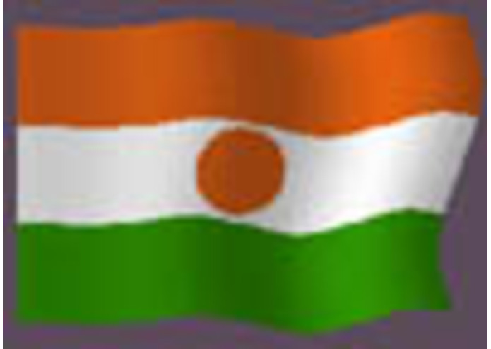 Info-Dev-Center : West Africa Information Center for Development  – screenshot 4