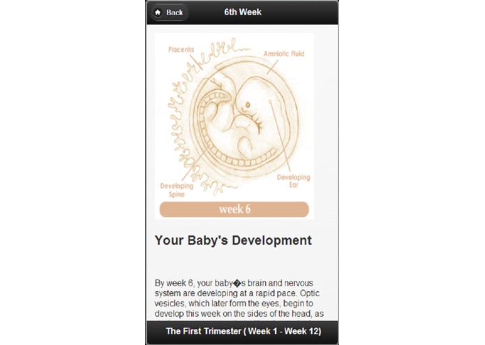 Pregnancy Guide – screenshot 1