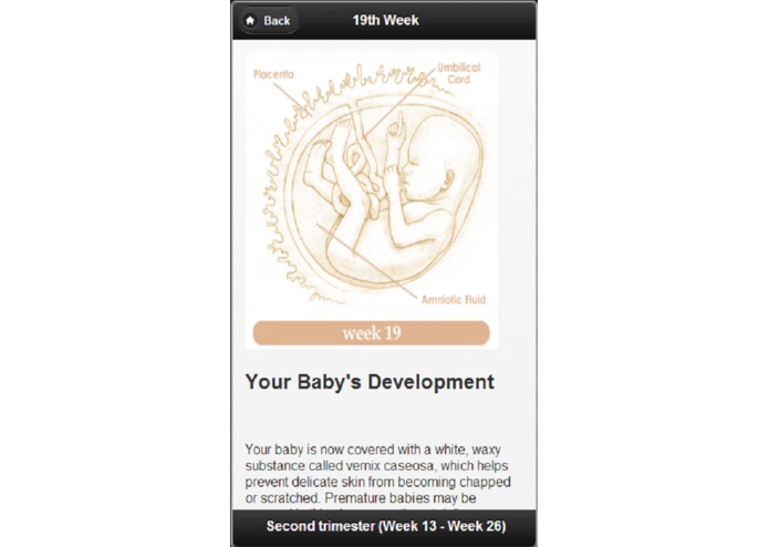 Pregnancy Guide – screenshot 2