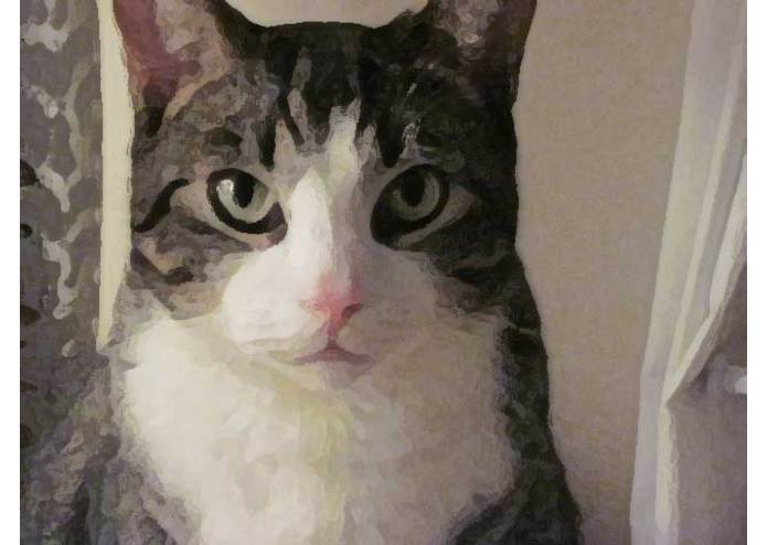 "Answer but don't Talk" – screenshot 1