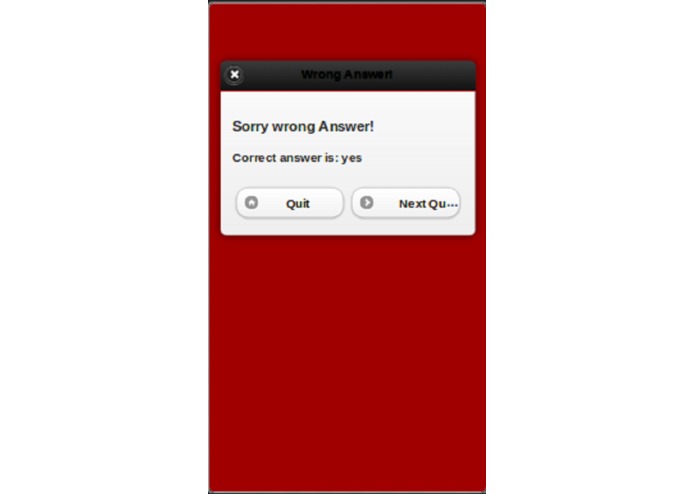 Computer Networks Quiz – screenshot 2