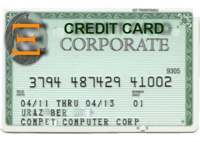 Credit Card Trap – screenshot 1