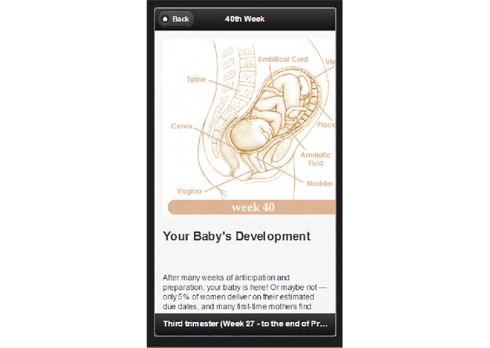 pragnency schedule – screenshot 2