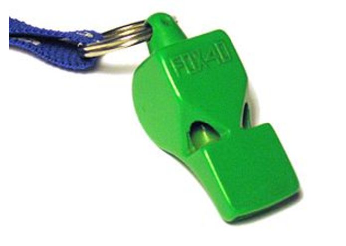 Whistleblower Incentive – screenshot 1