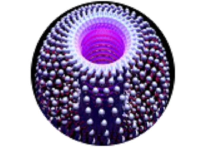 image rotator – screenshot 1