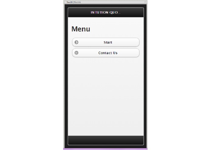 intution ms – screenshot 2