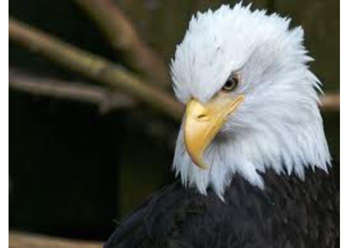 BabySafE – screenshot 1