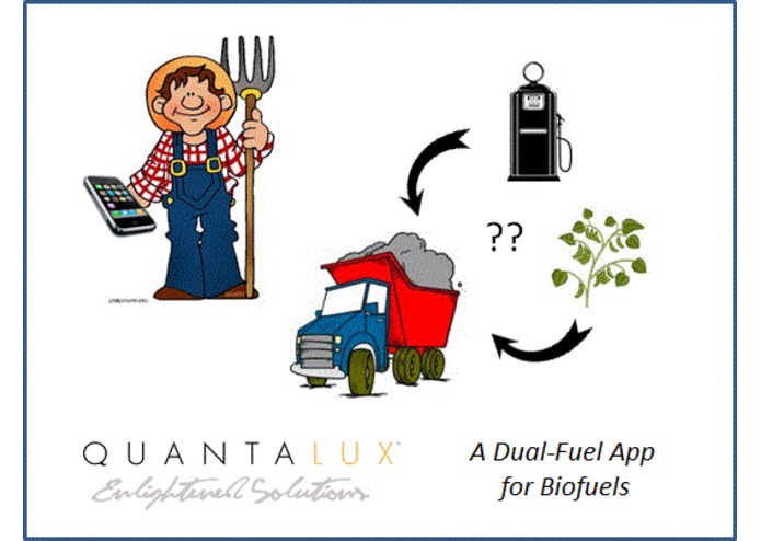 Dual-Fuel App for Biofuels – screenshot 1