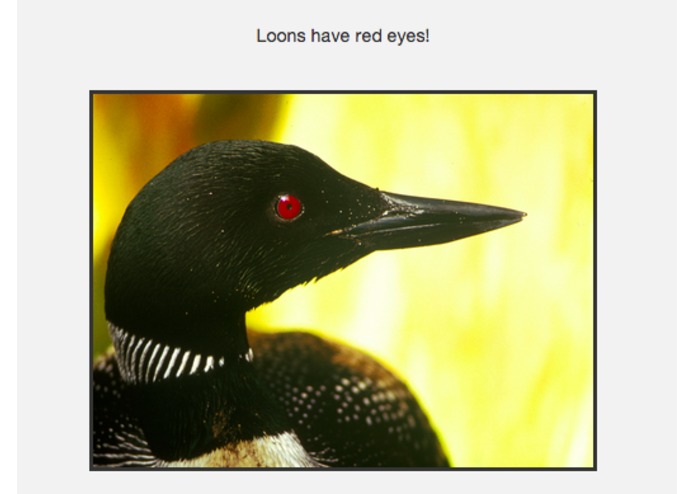 Tweet-A-Loon – screenshot 2