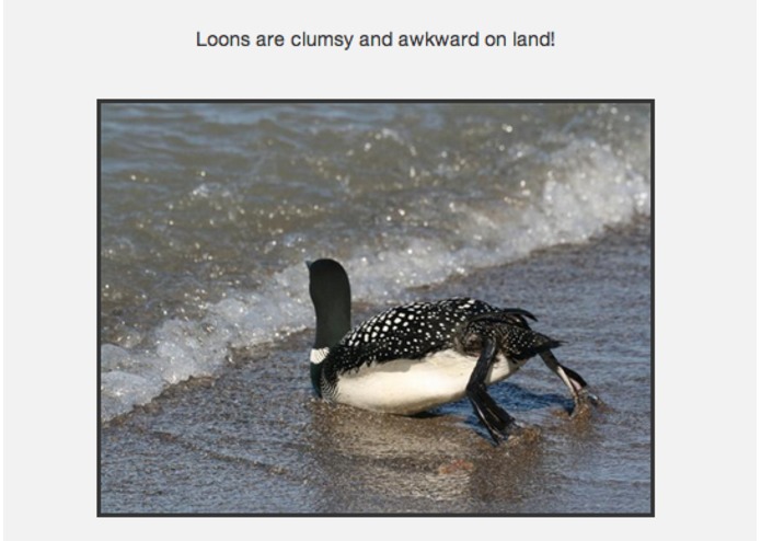 Tweet-A-Loon – screenshot 3