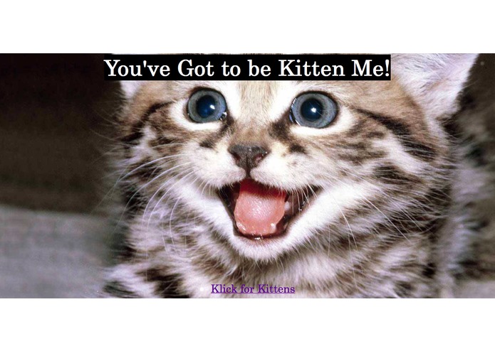 youvegottobekittenme.com – screenshot 1