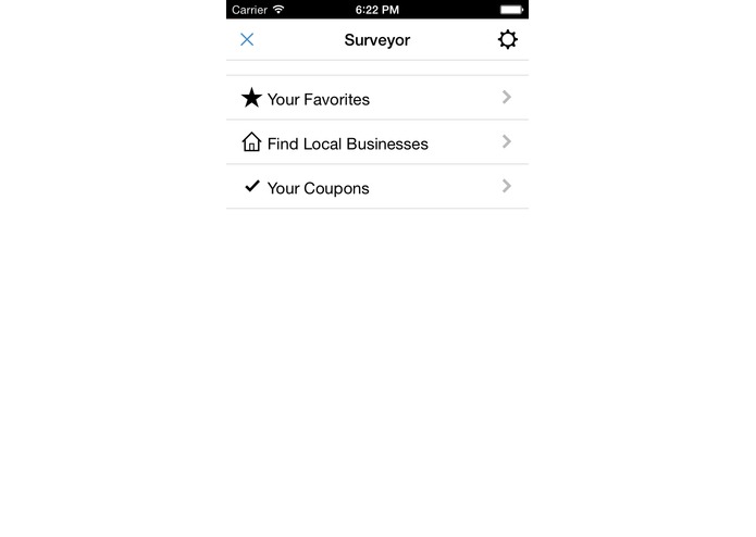 Surveyor – screenshot 1