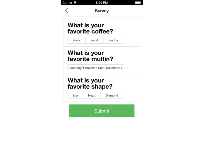 Surveyor – screenshot 3