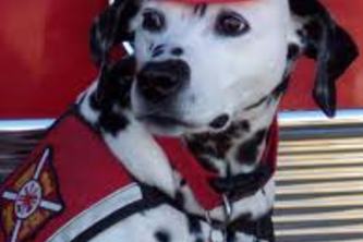 Floor Plans for Firefighters